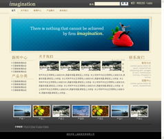 商丘網(wǎng)站建設(shè) 專業(yè)網(wǎng)站開發(fā)與網(wǎng)絡(luò)公司選擇指南