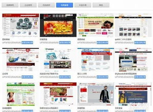 大泉州地區(qū)網(wǎng)站建設(shè)與網(wǎng)店開設(shè) 5000+成功案例，助力企業(yè)數(shù)字化升級