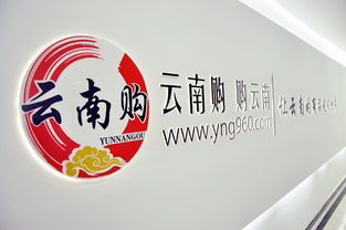 云南購，購云南 奧遠科技助力云南商品與品牌走向世界