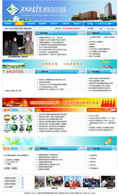 網站建設 從規(guī)劃到落地的全方位指南